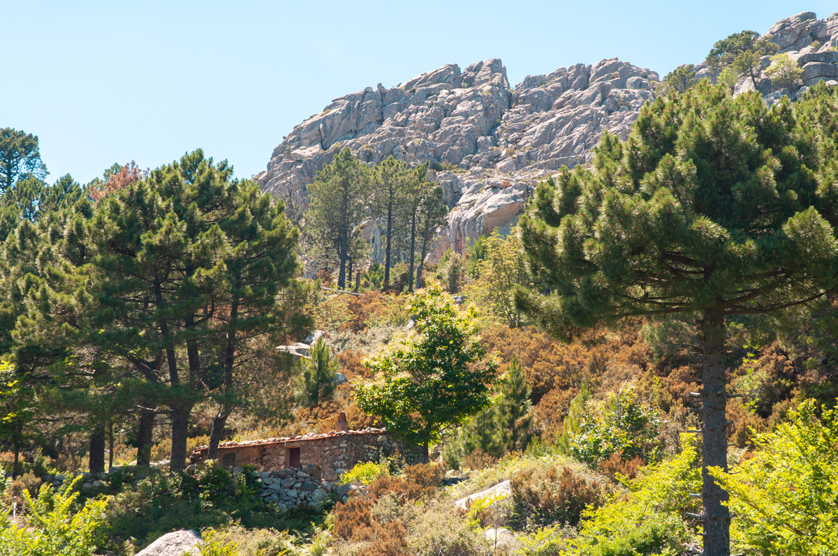 Bergeries-de-Bitalza-Sotta