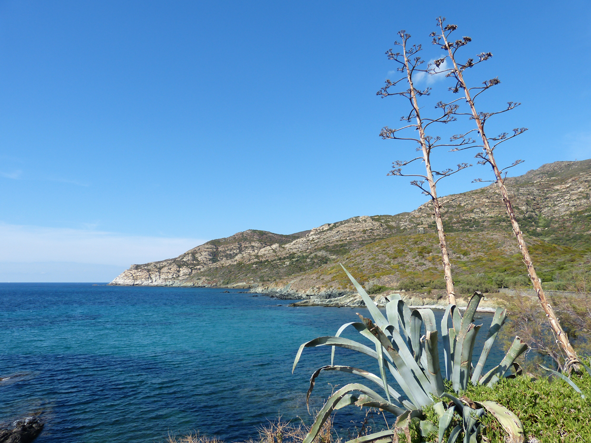Centuri dans le Cap Corse