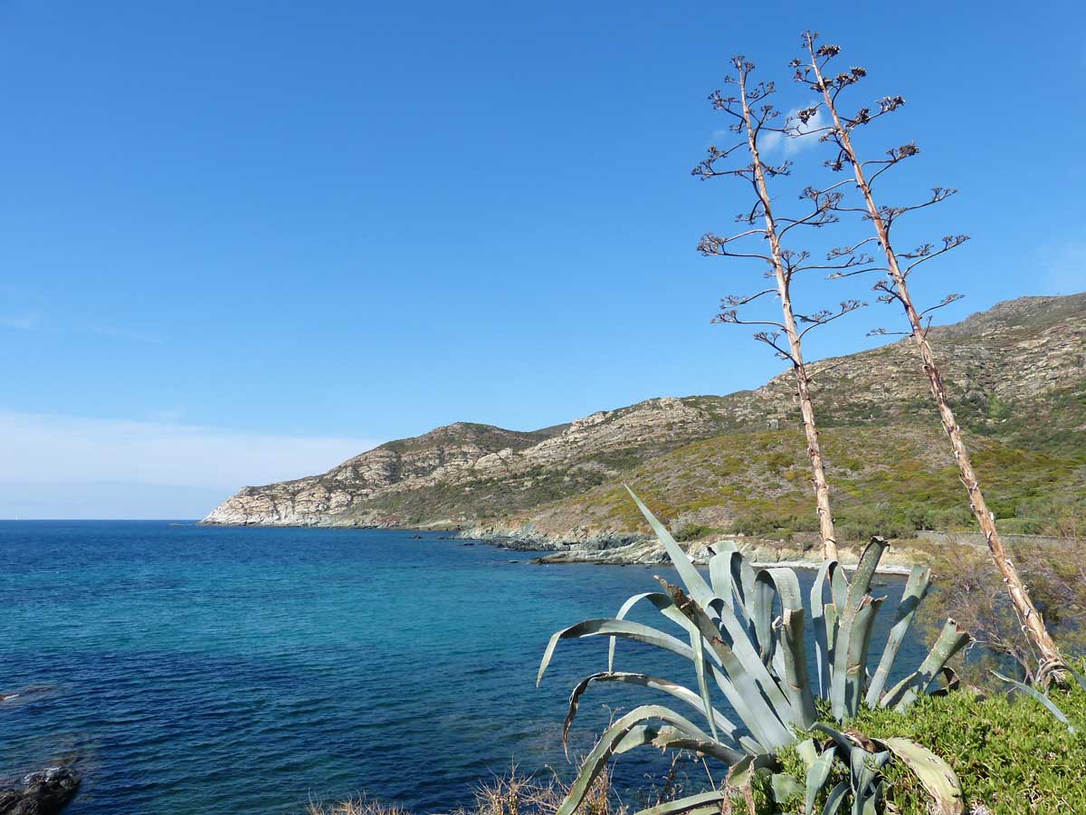 Port de Centuri en Haute-Corse