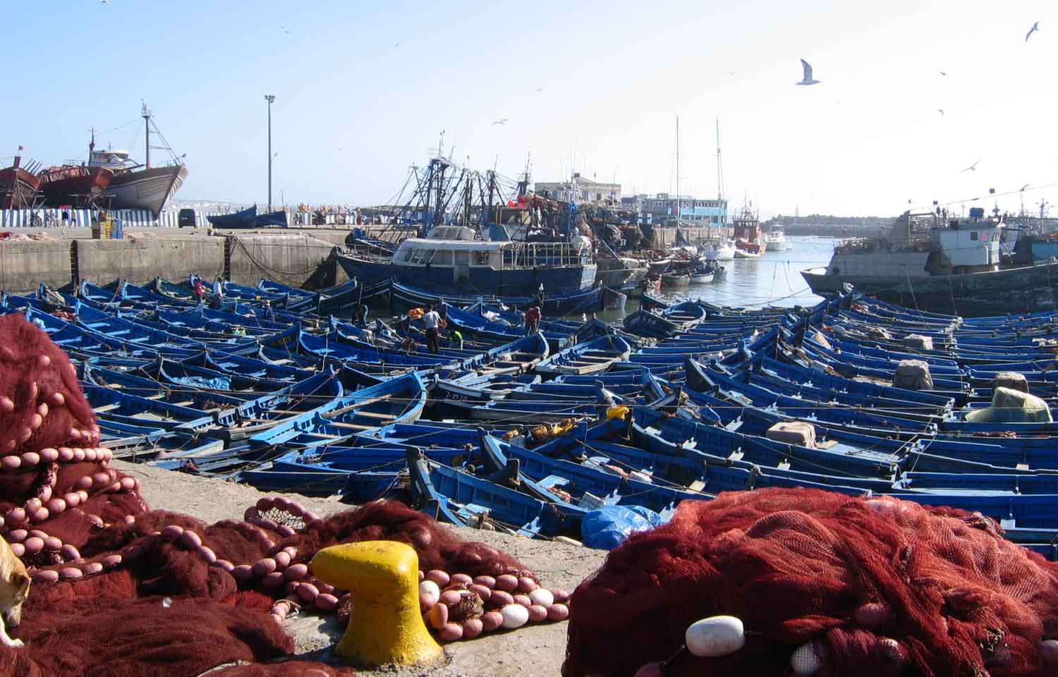 Le port de pêche d'Essaouira
