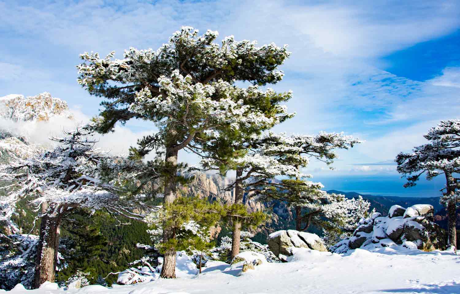 Les aiguilles de Bavella sous la neige