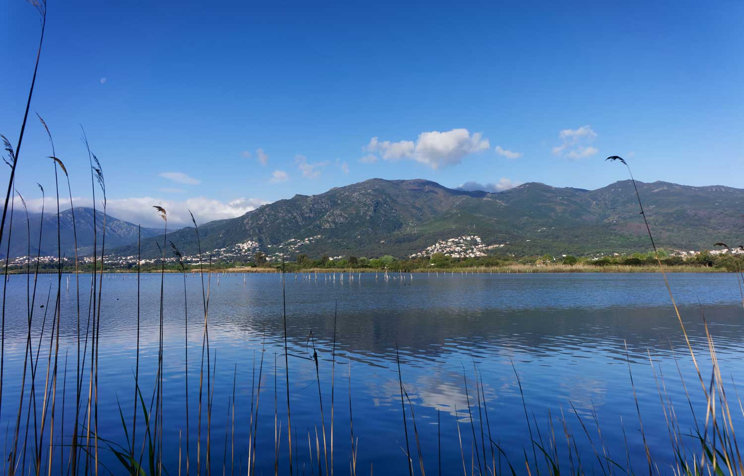 Etang-Biguglia