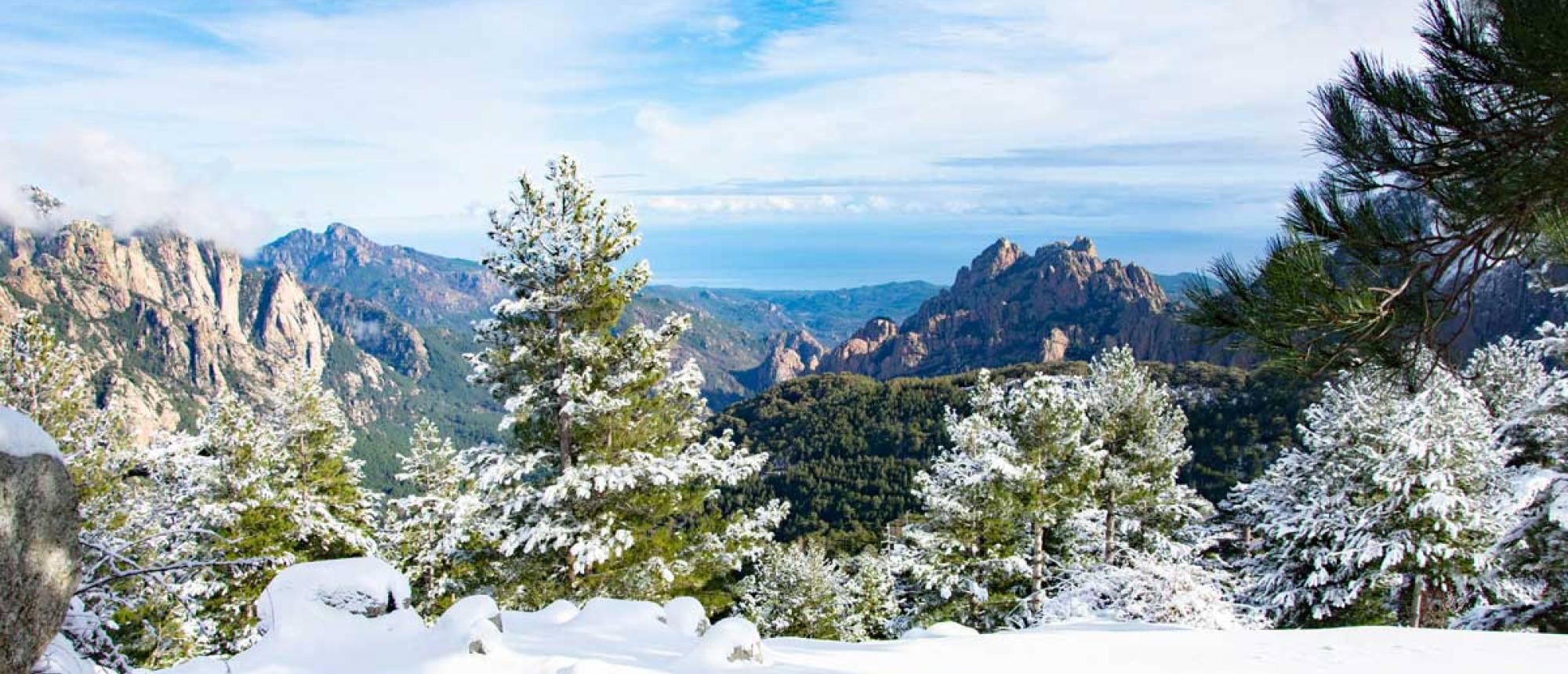 Bavella sous la neige - Sud de la Corse