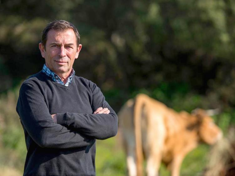 jacques-abbatucci-éleveur-vaches-tigres