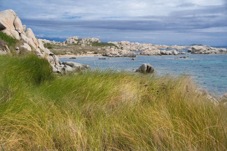 Les Îles Lavezzi en Corse du Sud