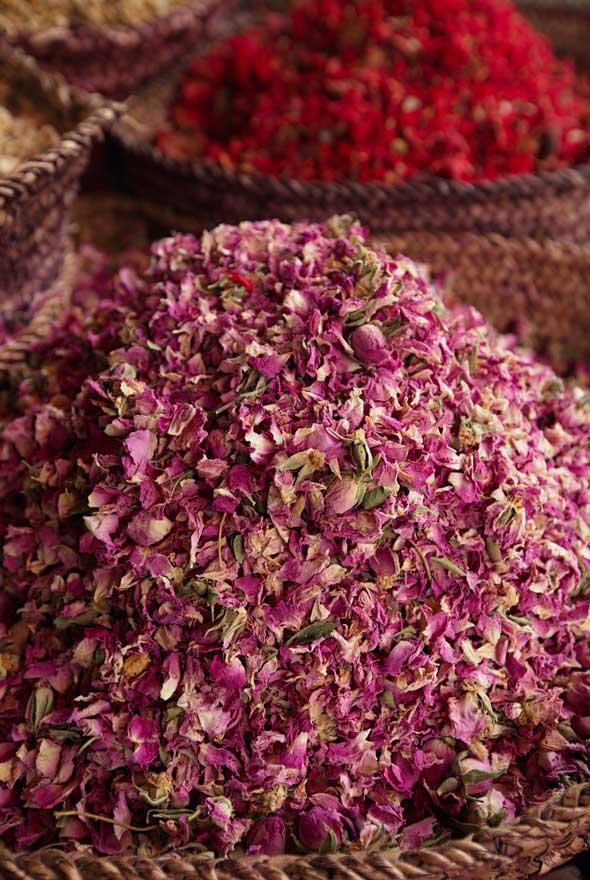 Vallée des roses est le surnom touristique de la vallée du Dadès