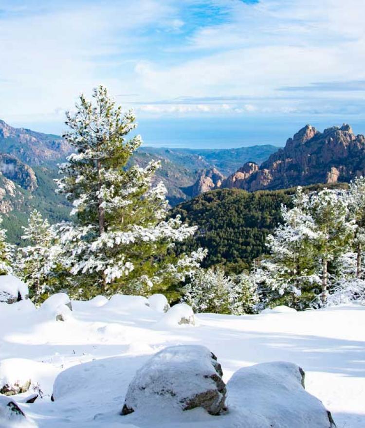 Bavella sous la neige - Sud de la Corse