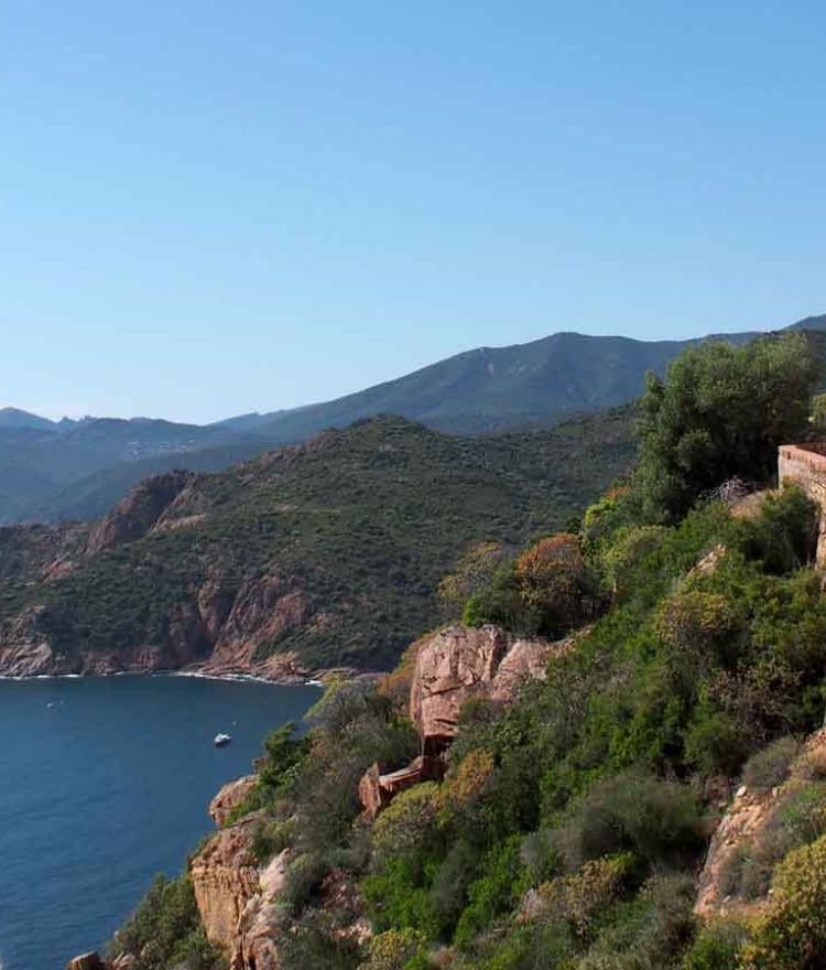 Cycliste sur route côtière en Corse