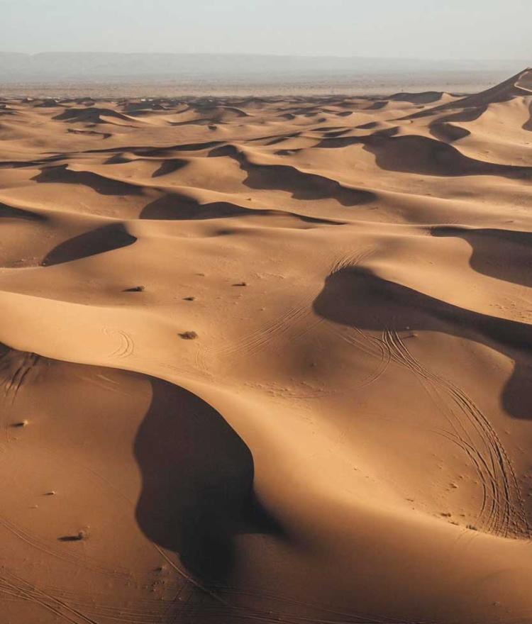 La Méridionale : partenaire officiel "Transport" de l'Africa Eco Race