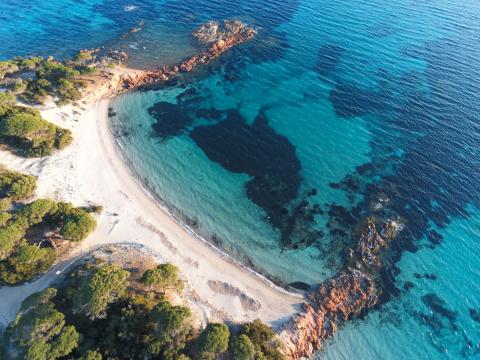 palombaggia