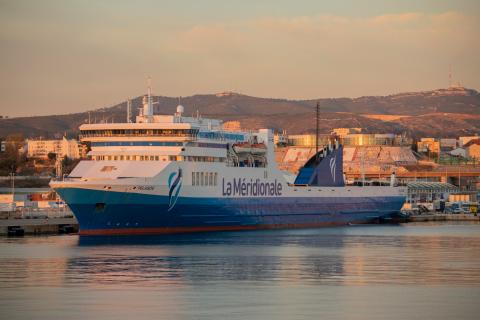 Pelagos-marseille