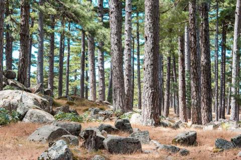 Bergerie de Luviu - Randonnée en Corse du Sud