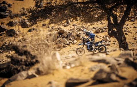 Africa Eco Race - Sur les pistes de Mauritanie